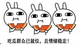 娱乐吃瓜酱晚安蠢蛋,揭秘娱乐圈的甜蜜与苦涩