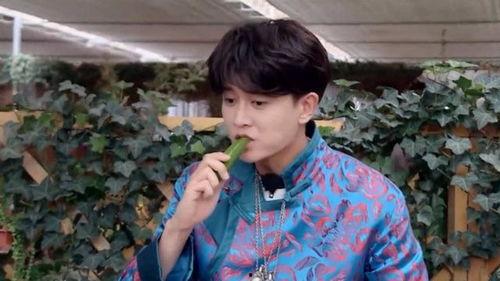 娱乐吃瓜呀任嘉伦